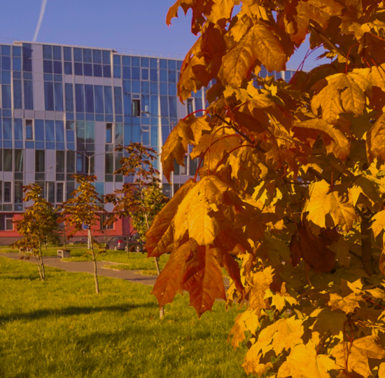 Как работаем, учимся и отдыхаем в ноябре