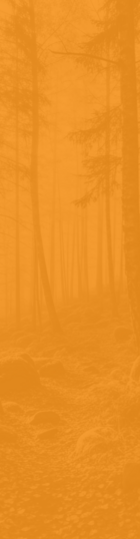 Стань специалистом беспилотных систем